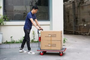 xe đẩy hàng tải trọng 300kg - 1